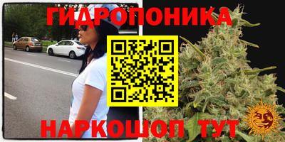 mdpv Краснокаменск