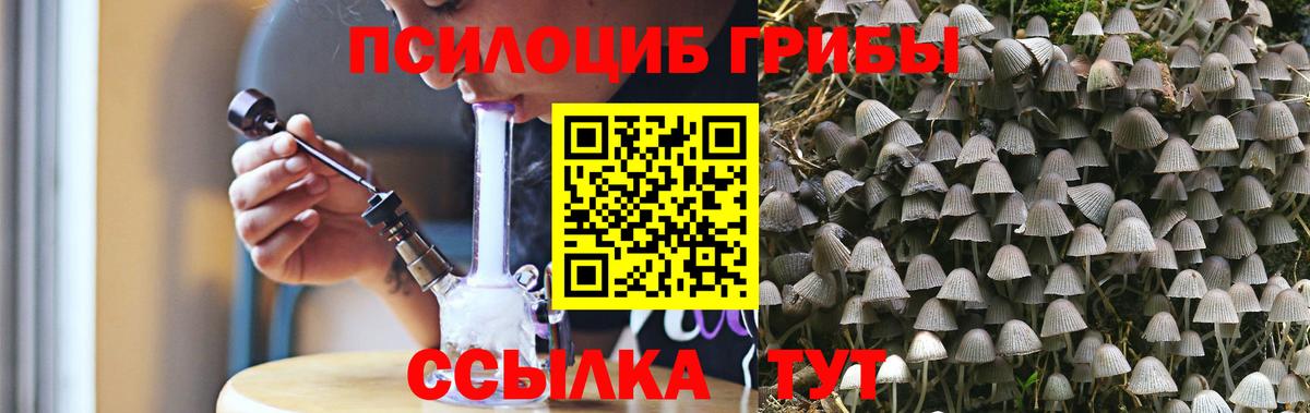 Галлюциногенные грибы мицелий Кандалакша