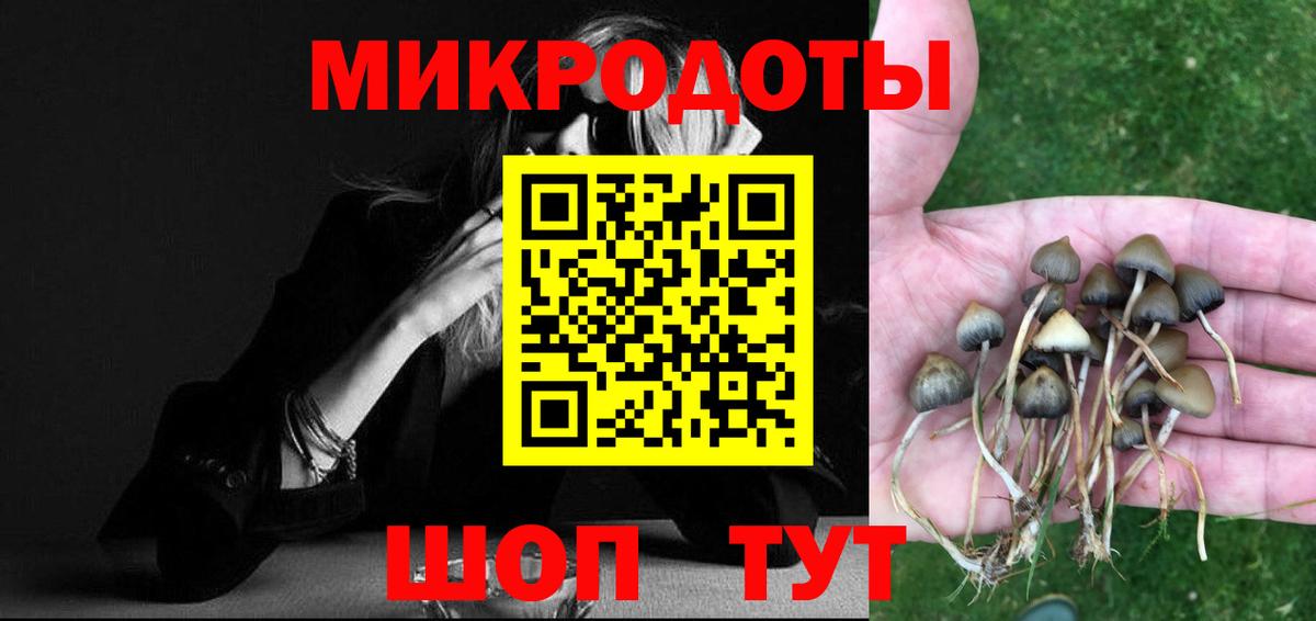 Кандалакша  что такое наркотик  Вход с VPN  Галлюциногенные грибы прущие грибы 